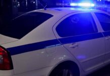 Ηράκλειο: Πιάστηκε επ’ αυτοφώρω την ώρα που πήγε να κλέψει πρόβατα με… «δανεικό» αγροτικό