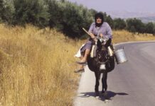 Έχετε ιπποειδές; Πρέπει να το δηλώσετε!
