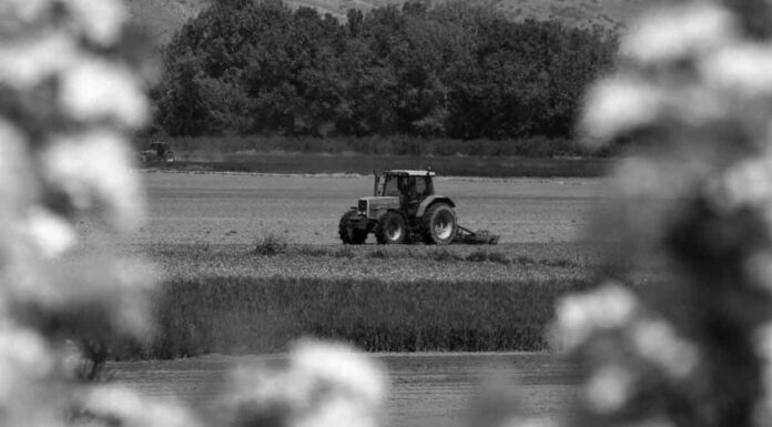 Κρήτη – αγρότες: Δεν θα χάνονται οι επιδοτήσεις που πέφτουν κάτω από τα 250 ευρώ