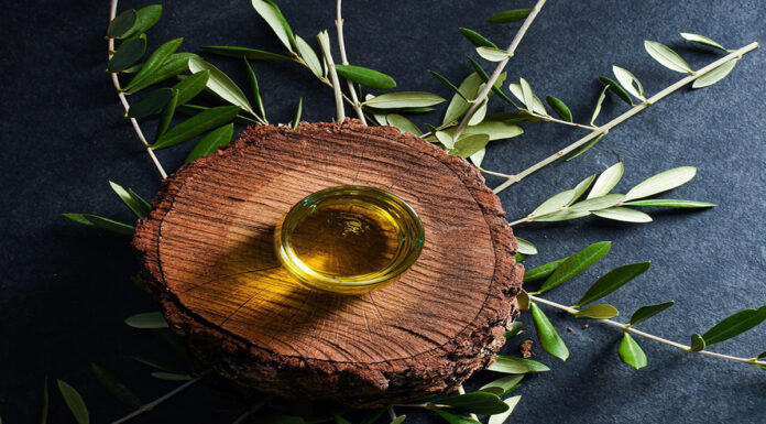 Ελαιόλαδο: «Αυλαία» στην καλύτερη χρονιά των τελευταίων δεκαετιών στην Κρήτη – Η λειψυδρία απειλεί την επόμενη χρονιά (vid)