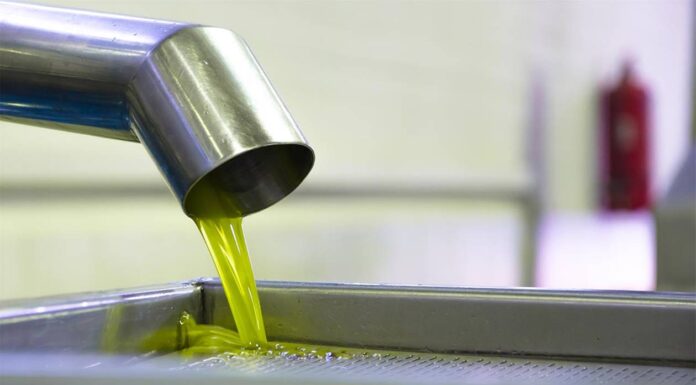 Ανεξέλεγκτες οι αυξήσεις στο ελαιόλαδο – Θα ξεπεράσει τα 200 ευρώ ο τενεκές!