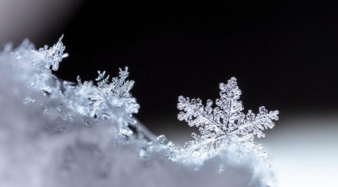Το παγκόσμιο μοντέλο «ΗΡΑΚΛΗΣ» φέρνει φουλ χιόνια ανήμερα της Τσικνοπέμπης! «Θα ζήσουμε ξανά το ψύχος του 2004;»