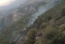 Κρήτη: 84χρονος που επιχείρησε να κάψει κλαδιά πίσω από τη μεγάλη φωτιά στην Καλαμαύκα