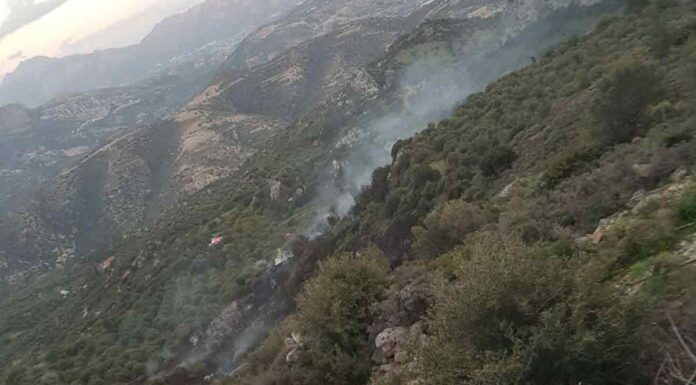 Κρήτη: 84χρονος που επιχείρησε να κάψει κλαδιά πίσω από τη μεγάλη φωτιά στην Καλαμαύκα