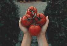 «Ξέμεινε» από φρούτα και λαχανικά η Βρετανία – Πώς θα κινηθούν οι αγρότες της Κρήτης