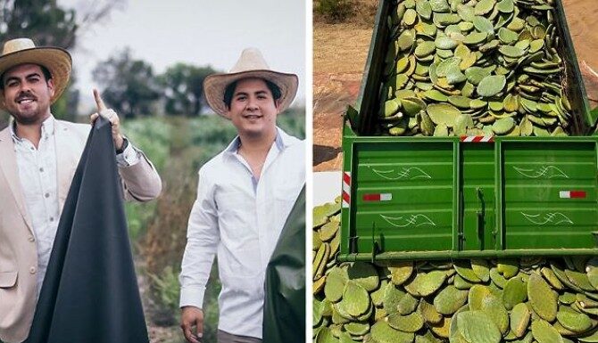 Μεξικανοί Δημιούργησαν Vegan Δέρμα Από Κάκτο Για Να Πάψουμε Να Σκοτώνουμε Ζώα (Βίντεο)