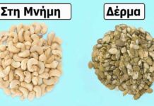 10 διαφορετικά είδη ξηρών καρπών με ευεργετικές ιδιότητες και τα οφέλη του καθενός στην υγεία μας