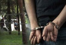 Άγριο έγκλημα στη Θεσσαλονίκη: Συνελήφθη ο 34χρονος γιος για τη δολοφονία της μητέρας του – Είχε βρεθεί νεκρή σε αυτοκίνητο (upd)