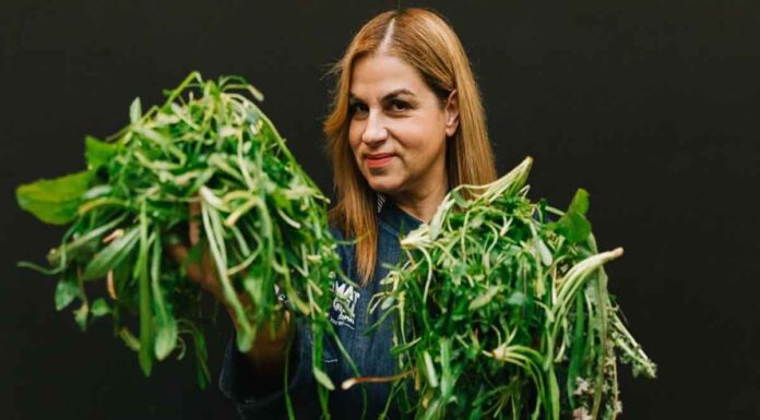 Όχι άλλο αβοκάντο, είναι ώρα ο Έλληνας χορτοφάγος να γνωρίσει τα άγρια χόρτα μας!