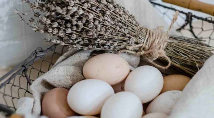 Λευκά ή Καφέ; Ιδού η απάντηση στο ποια είναι τα καλύτερα αυγά για να βάψεις το Πάσχα