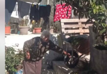 Eγγονός που θέλει να της πάει…σκύλο στην αυλή! (vid)