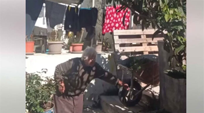 Eγγονός που θέλει να της πάει…σκύλο στην αυλή! (vid)