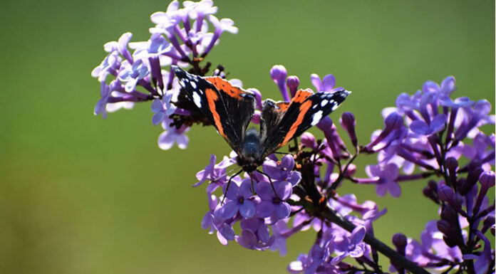 Με σκαμπανεβάσματα ο καιρός όλη τη Μεγάλη Εβδομάδα: Από καταιγίδες σε… άνοιξη – Πώς θα σουβλίσουμε