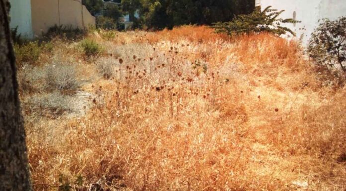 Ηράκλειο: Ξεκίνησε ο έλεγχος και η επιβολή προστίμων για τα ακαθάριστα οικόπεδα