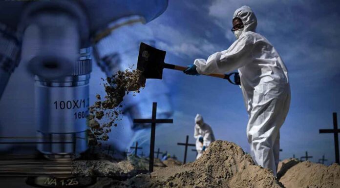 Επέστρεψε η «τρομοκρατία»: «Έρχονται οι 4 πιο θανατηφόρες ασθένειες» λένε «ειδικοί» – «Θα πεθαίνουν οι μισοί που θα κολλήσουν»