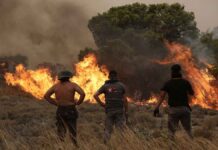 1998 : Η μοιραία απόφαση Σημίτη να αφαιρέσει τη δασοπυρόσβεση από τα Δασαρχεία