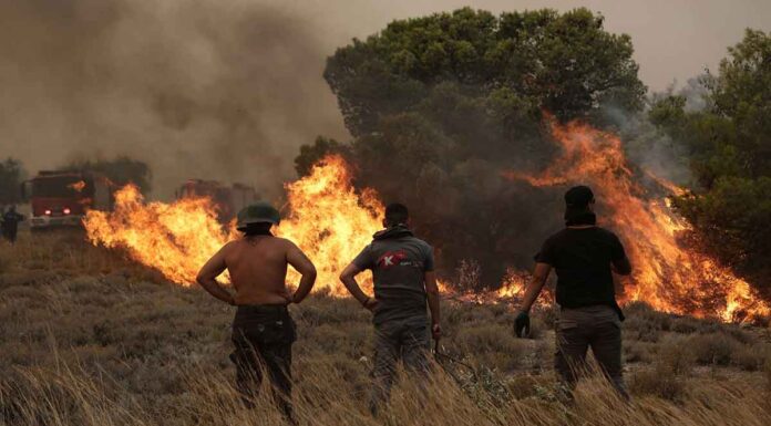 1998 : Η μοιραία απόφαση Σημίτη να αφαιρέσει τη δασοπυρόσβεση από τα Δασαρχεία