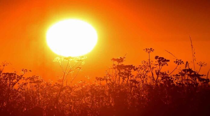 Καύσωνας έως τα τέλη Ιουλίου: Πάνω από 40 βαθμούς Κελσίου για οκτώ συνεχόμενες ημέρες – Διάγραμμα-σοκ