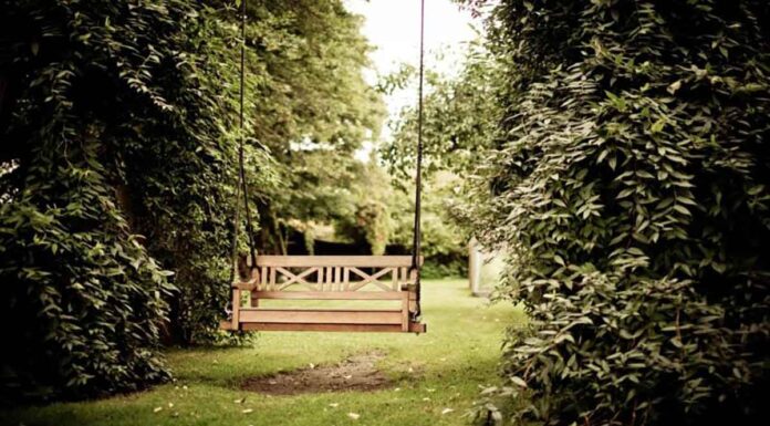 Μαγειρική σόδα: Tο πιο φθηνό, χρήσιμο προϊόν για τον κήπο και γιατί πρέπει να το χρησιμοποιείς