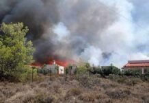 Μάχη με τις φλόγες στο Λουτράκι: Αγωνία για να μην περάσουν οι φλόγες από την παλαιά εθνική οδό προς τα διυλιστήρια