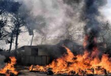 Εφιάλτης: Ανεξέλεγκτο το πύρινο μέτωπο σε Μάνδρα, Λουτράκι και Νέα Πέραμο