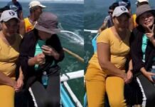 Viral βίντεο: Ψάρι κλέβει το κινητό γυναίκας μέσα από τα χέρια της
