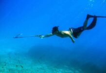 Κρήτη: Στο νοσοκομείο 13χρονος που τσιμπήθηκε από ψάρι – Συνελήφθη ο πατέρας του