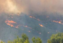Φωτιά στην Ρόδο: Κηρύχτηκε σε κατάσταση έκτακτης ανάγκης όλο το νησί