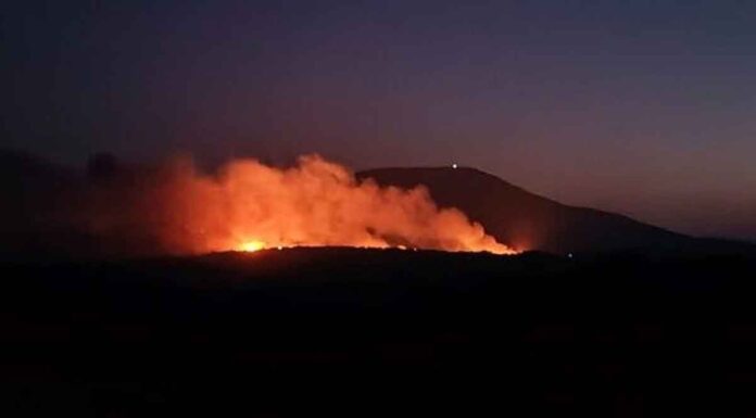 Σε εξέλιξη η μεγάλη πυρκαγιά στη Ρόδο: Καίει πυκνό δάσος με πεύκα και κυπαρίσσια (upd)