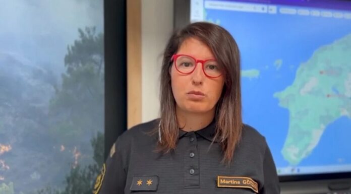 H Τσεχία προσέφερε βοήθεια για τις πυρκαγιές αλλά η Ελλάδα… αρνήθηκε (vid)