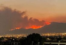 Ολονύχτια μάχη για να σωθεί ο Εθνικός Δρυμός της Πάρνηθας – Εκκενώθηκαν τρία γηροκομεία