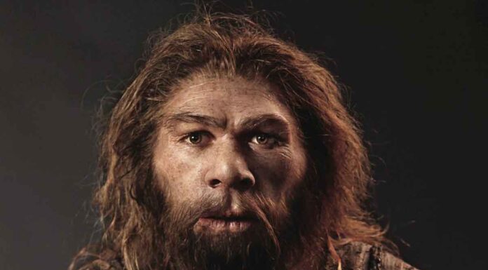 Έλληνες επιστήμονες: Το υπερβολικό κρύο σκότωσε τους πρώτους ανθρώπους στην Ευρώπη