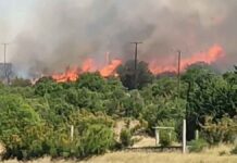 Κόλαση φωτιάς περικύκλωσε την Αλεξανδρούπολη – Μπήκε στη Νίψα, εκκενώθηκαν Άβαντας, Μαίστρος, Αμφιτρίτη, Μοναστηράκι, Δορίσκος (ΒΙΝΤΕΟ)