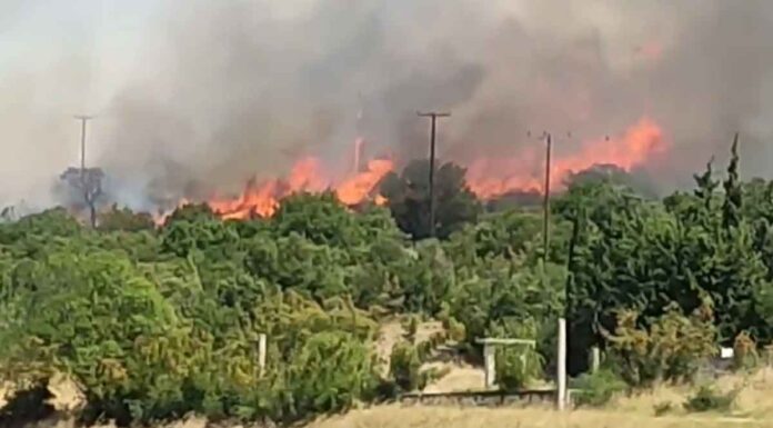 Κόλαση φωτιάς περικύκλωσε την Αλεξανδρούπολη – Μπήκε στη Νίψα, εκκενώθηκαν Άβαντας, Μαίστρος, Αμφιτρίτη, Μοναστηράκι, Δορίσκος (ΒΙΝΤΕΟ)