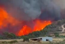 Φωτιά στην Αλεξανδρούπολη: Τιτάνια μάχη με τις φλόγες