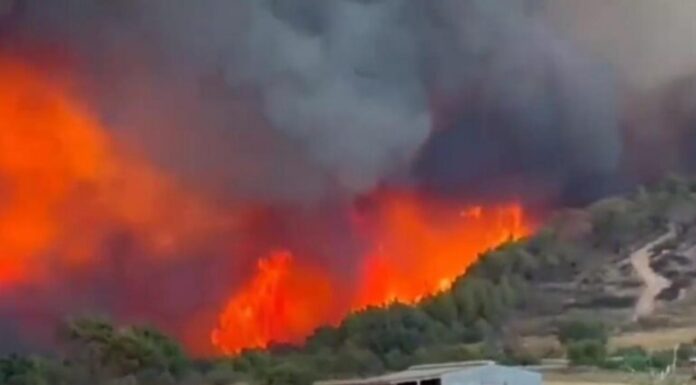 Φωτιά στην Αλεξανδρούπολη: Τιτάνια μάχη με τις φλόγες