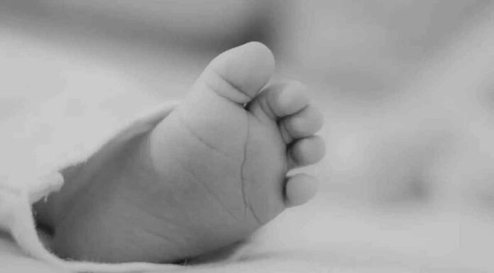 Κρήτη: Σοκάρουν οι αποκαλύψεις για την εγκληματική οργάνωση εμπορίας βρεφών και ωαρίων – «Εγκέφαλος» ο γυναικολόγος και ιδιοκτήτης του κέντρου