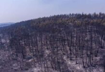 Για 10η μέρα συνεχίζεται η μάχη στον Έβρο – Ανησυχία για αναζωπυρώσεις και αλλαγή ανέμων, θλίψη για το δάσος της Δαδιάς