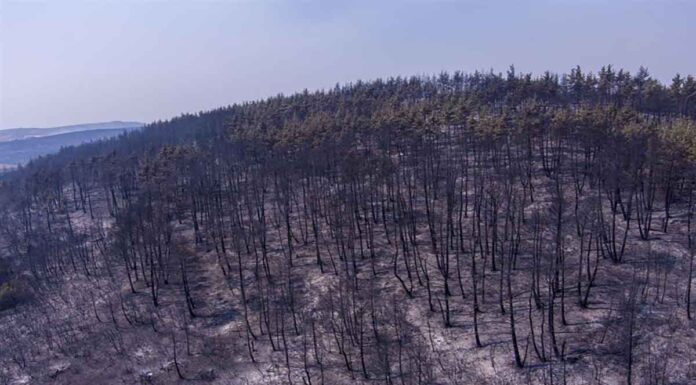 Για 10η μέρα συνεχίζεται η μάχη στον Έβρο – Ανησυχία για αναζωπυρώσεις και αλλαγή ανέμων, θλίψη για το δάσος της Δαδιάς