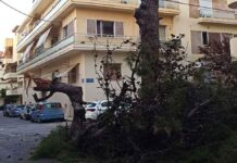 Ηράκλειο: Σοκαρισμένοι οι κάτοικοι στον Μασταμπά από την πτώση του πεύκου
