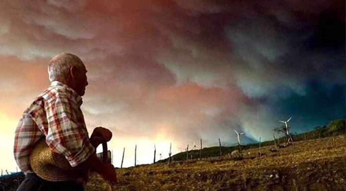 ΟΤΑΝ ΟΙ ΕΥΑΙΣΘΗΤΟΙ ΤΟΥ ΚΑΝΑΠΕ…ΑΝΑΚΑΛΥΠΤΟΥΝ ΤΟΝ ΕΒΡΟ!