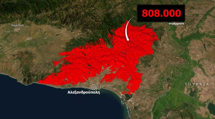 Έβρος: Σoκαριστικές εικόνες από το πριν και το μετά της μεγάλης πυρκαγιάς στην Δαδιά