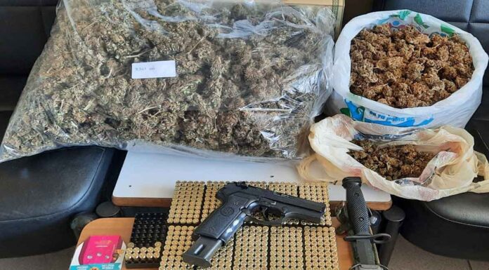 Ηράκλειο: Εντοπίστηκε φυτεία με δενδρύλλια κάνναβης – Συνελήφθησαν οι φερόμενοι ως καλλιεργητές καθώς την περιποιούνταν (φωτο)