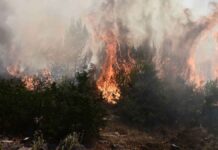 Ασπρόπυργος: Φωτιά μέσα στην 112 Πτέρυγα Μάχης στην Ελευσίνα! – Κινδυνεύουν οι αποθήκες πυρομαχικών (βίντεο)