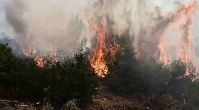 Ασπρόπυργος: Φωτιά μέσα στην 112 Πτέρυγα Μάχης στην Ελευσίνα! – Κινδυνεύουν οι αποθήκες πυρομαχικών (βίντεο)