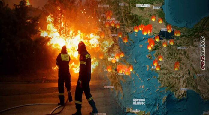 Θλιβερή πρωτιά για την Ελλάδα: «Στον Έβρο η μεγαλύτερη καμένη έκταση στην Ευρώπη