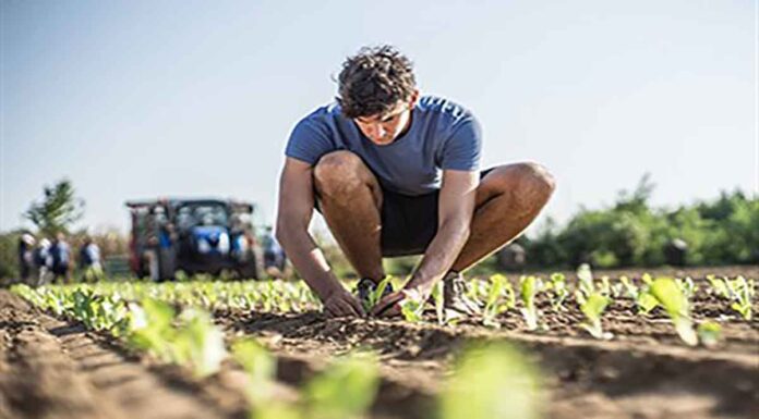 Προγράμματα κατάρτισης για 14.642 νέους αγρότες – Τα ποσά για την Κρήτη