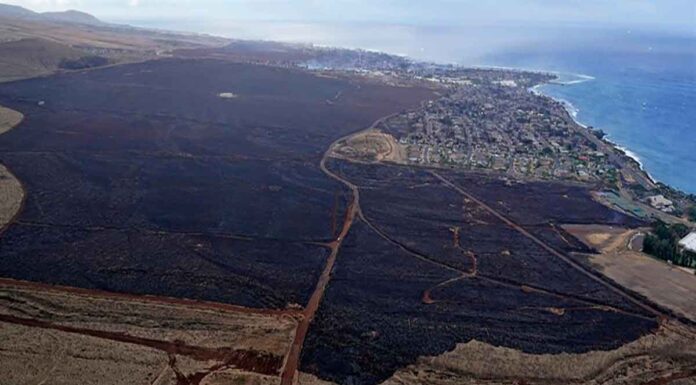Χαβάη: Τους 99 έφτασαν οι νεκροί από τις φωτιές – Κρανίου τόπος η Λαχάινα, αγνοούνται 1.300 πολίτες