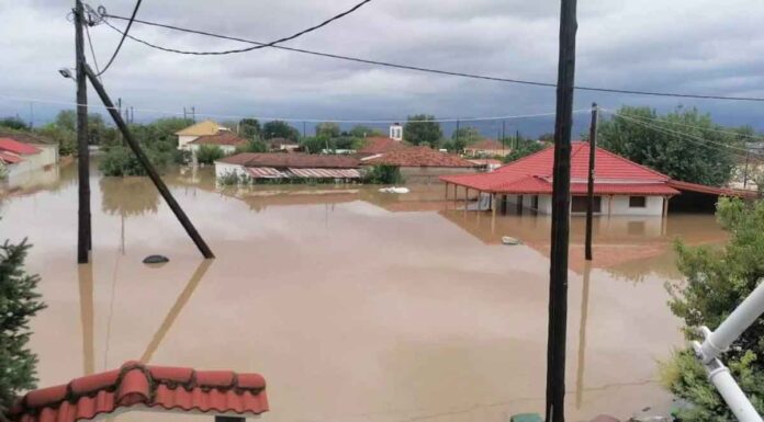 «Γιαγιά επιπλέει νεκρή στην κουζίνα του σπιτιού» – Συγκλονιστική περιγραφή κατοίκου του Παλαμά
