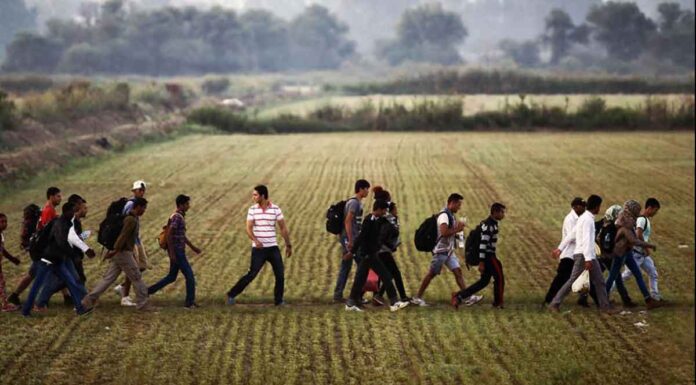 Προφυλακίζουν τους Έλληνες που συνέλαβαν τους παράνομους αλλοδαπούς μέσα στις φωτιές στον Έβρο!
